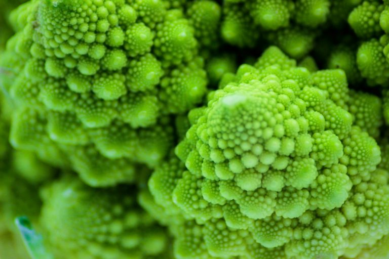 Fibonacci retracement, zniesienie Fibonacciego co to jest i jak używać ?
